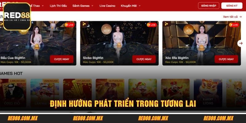 Định hướng phát triển trong tương lai