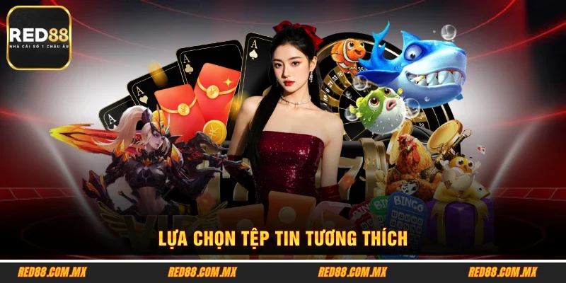Lựa chọn tệp tin tương thích